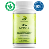 Sea Moss +